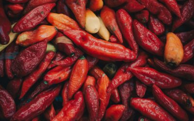 Exploring America’s Spicy Food Love: A Deep Dive into Demographic Tastes