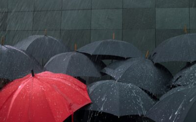 Survey Unveils America’s Mixed Feelings About Rainy Weather