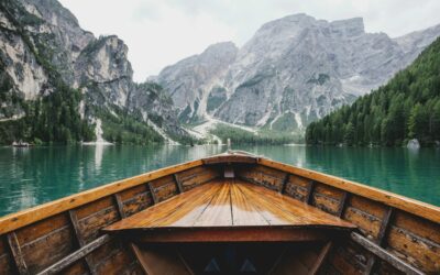 Bridging the Travel Gap: Understanding American Travel Disparities